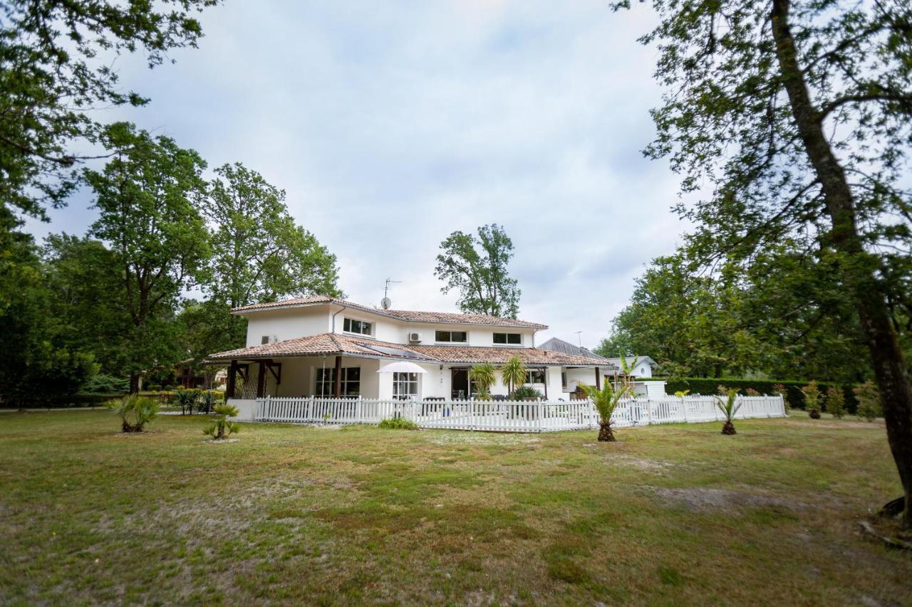 La Villa Minvia Les Landes Entre Mer Et Montagne Saint-Vincent-de-Paul  Exteriér fotografie